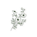 Direction fleur