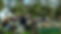 L-Escargotier-900x506.jpg