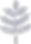 Arbre   